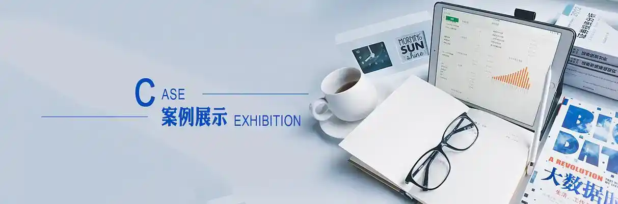 红星区软件开发